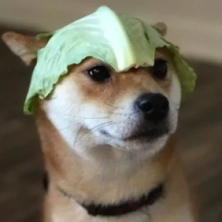 The Villainous Frontier Noble Mocked as a Country Bumpkin and Looked Down Upon by Others—His True Identity Is the Strongest Noble Who Knows Nothing but Overwhelming Victory, the Tyrannical Noble
